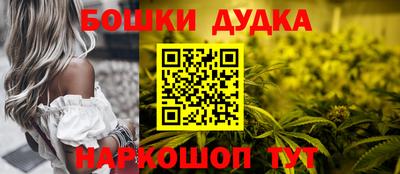 гидра Будённовск