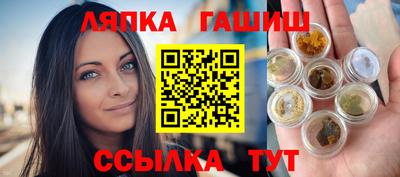 гидра Будённовск