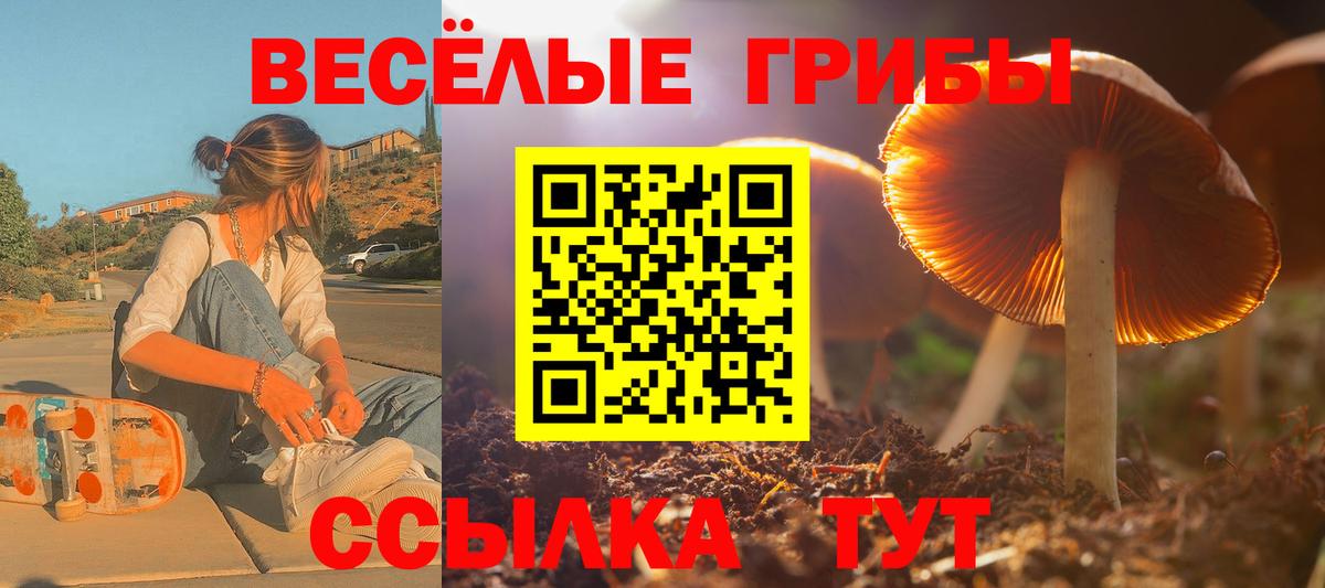 где можно купить   Галлюциногенные грибы Psilocybine cubensis  Тверь  Вход с VPN  Псилоцибиновые грибы ЛСД 